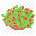 Flores Planta Decorativa Icono