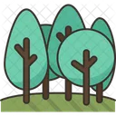 Floresta  Icon