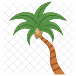 Florida Thatch Palm  Icon