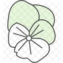 Florista Flor Fragrancia Ícone