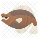 Flounder  Icône
