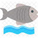 Flounder Fish Sea Icon