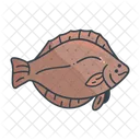 Flounder Fish  Icon