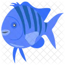 Flounder Fish Seafood Icon