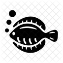 Flounder Flounder Fish Fluke Fish Icon
