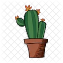 Flow Cactus  Icon