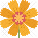 Flower Blossom Yellow Icon