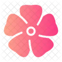 Flower Botanical Blossom Icon