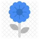 Bloom Ecology Flower Icon