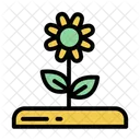 Flower Nature Plant Icon