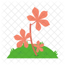 Flower  Icon