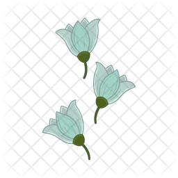 Flower  Icon