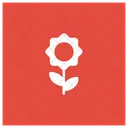 Flower Plant Bloom Icon