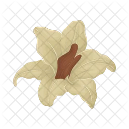 Flower  Icon