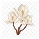 Flower Nature Plant Icon