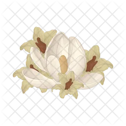 Flower  Icon