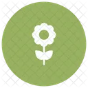 Flower Bloom Nature Icon