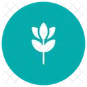 Flower Bloom Nature Icon