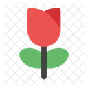 Flower Tulip Rose Icon