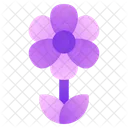 Flower  Icône