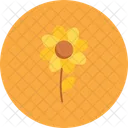 Flower Mode Macro Icon