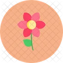 Flower Floral Spring Icon