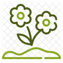 Nature Plant Blossom Icon