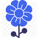 Flower Blooms Blossoms Icon