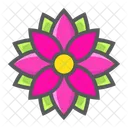 Flower Astra Nature Icon
