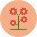 Flower Plant Floral Icon