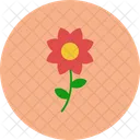 Flower Plant Floral Icon