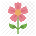 Flower  Icon