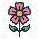 Flower  Icon