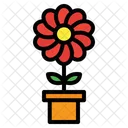 Flower Nature Plant Icon