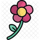 Flower Nature Floral Icon