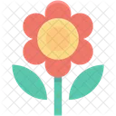 Flower Bookey Decoration Icon