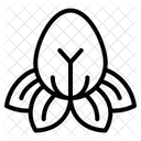 Flower Icon