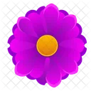 Beautiful Violet Pink Icon