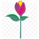 Gift Rose Plant Icon