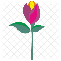 Flower  Icon