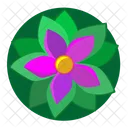 Green Violet Nature Icon