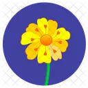 Yellow Round Nature Icon