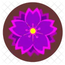 Pink Violet Nature Icon