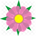 Rose Bud Flower Icon