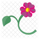 Cut Plant Rose Icon