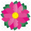 Rosa Red Pink Icon