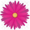 Pink Red Spring Icon
