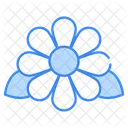 Flower  Icon