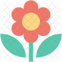 Flower Sunflower Floral Icon
