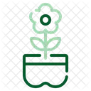 Flower Pot Icon Icon